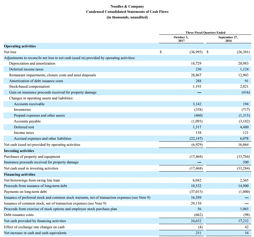 noodles cash flow statement