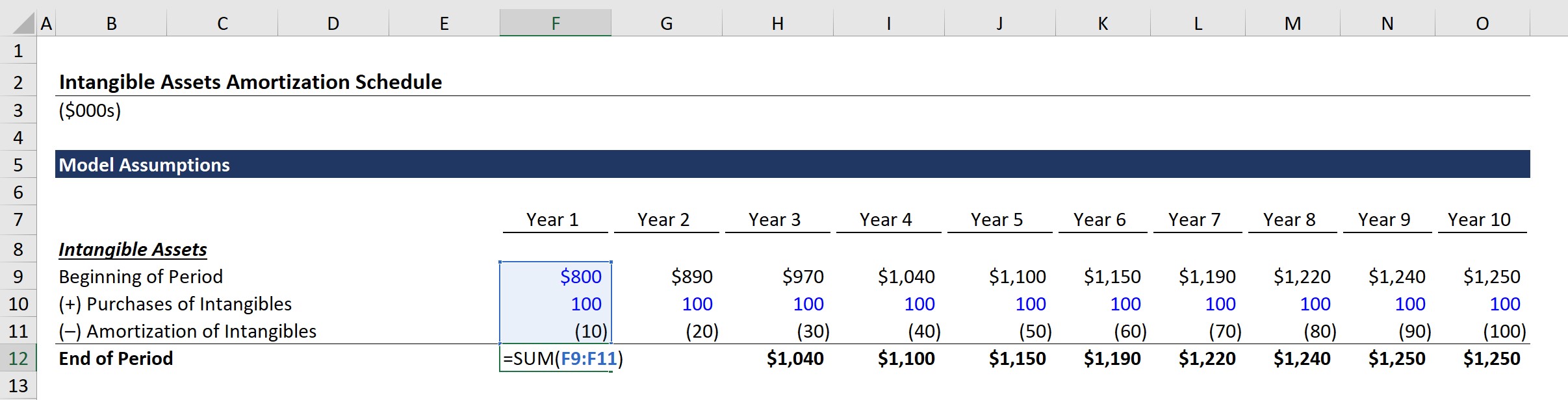 Intangibles Roll-Forward